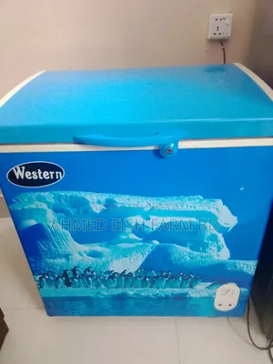 Deep Freeze Western Good Condition