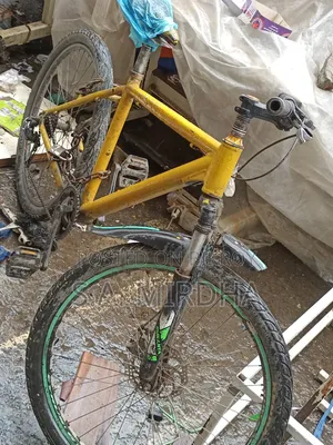 সাইকেল ভালো এসে দেফে নিতে পারবেন