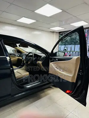 Hyundai Sonata 2011 Blue