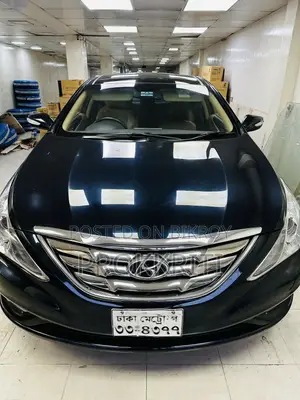 Hyundai Sonata 2011 Blue