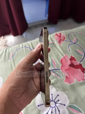 অ্যাপল আইফোন ১৩ প্রো ১২৮ জিবি গোল্ড
