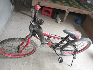 ছোট্ট বাইসাইকেল