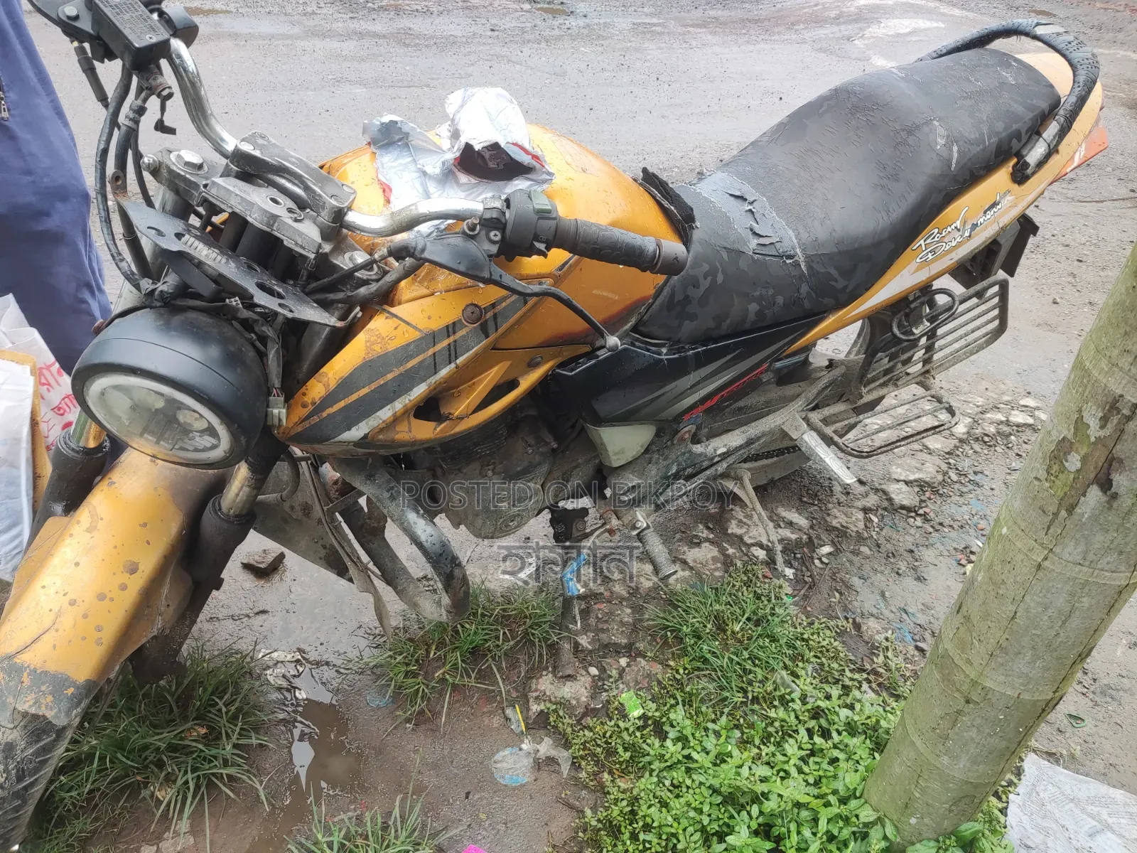 দায়েং ডিওয়াই১৫০-২৮এ ২০১৬ ইয়েলো