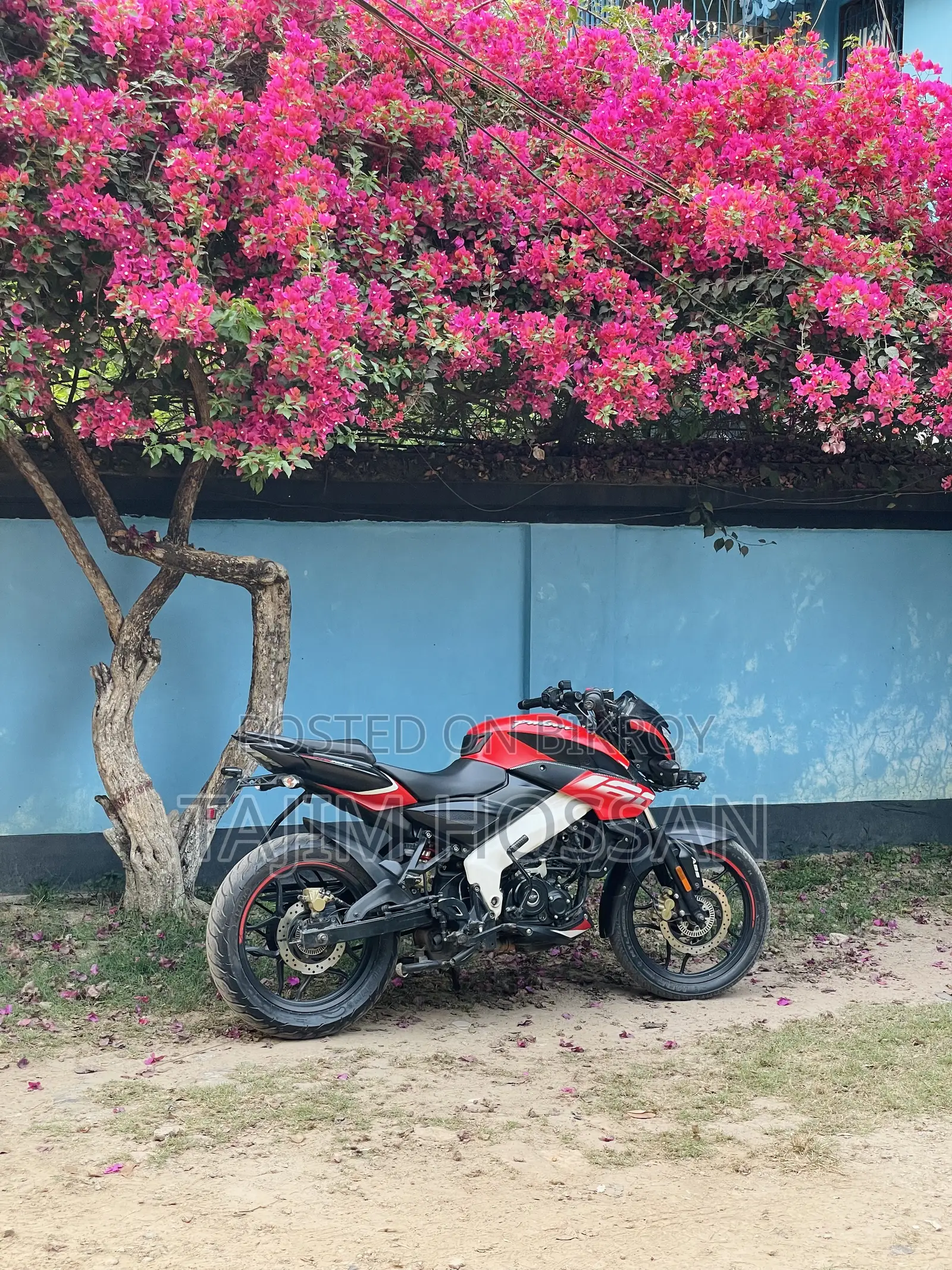 Bajaj Pulsar NS 160 2023 Red