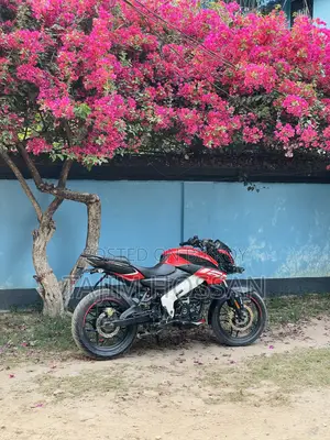 Bajaj Pulsar NS 160 2023 Red