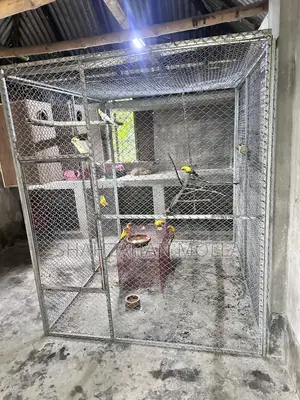 Nut System Large Cage for Sale.