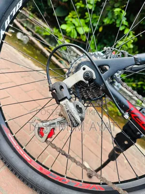 Veloce Bicycle Slayer 1.0 Urgent Sell