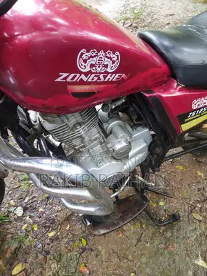 জংশেন জেডএস১০০-২৭ ২০২৩ লাল