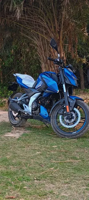 বাজাজ পালসার এন২৫০ ২০২৩ ব্লু