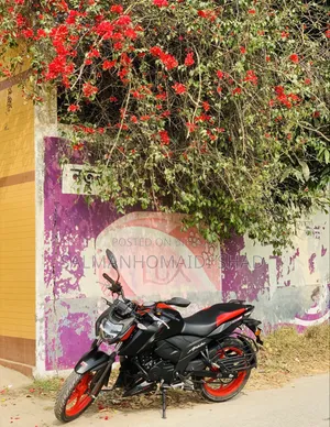 New TVS Apache RTR 160 4V Fi 2025 Black