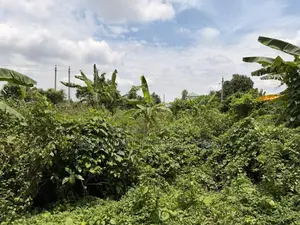 South Face 3 Katha Plot for Sale Purbachal Sec 26