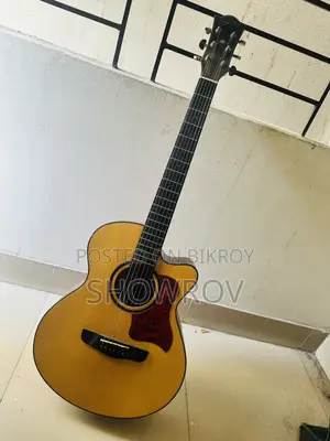 ডিভাইজার এল৭২০এ অ্যাকৌস্টিক গিটার বিক্রির জন্য