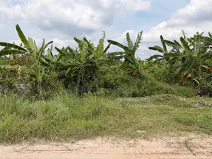 75 Feet Wide Road 3 Katha Plot for Sale Purbachal Sec 28