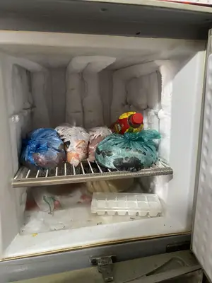 রেফ্রিজারেটর বিক্রয় হবে