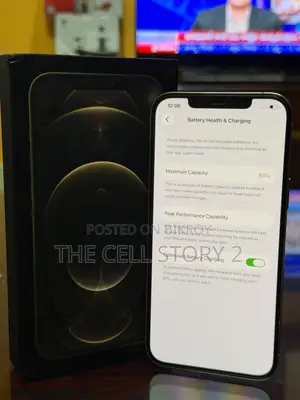 অ্যাপল আইফোন ১৩ প্রো ম্যাক্স ২৫৬ জিবি গোল্ড