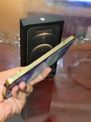 অ্যাপল আইফোন ১৩ প্রো ম্যাক্স ২৫৬ জিবি গোল্ড