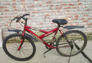 রানিং সাইকেল