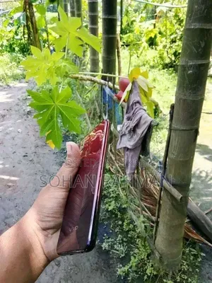 Vivo Y11 32 GB Red