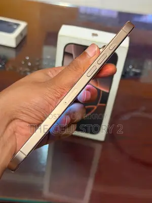Apple iPhone 16 Pro Max 512 GB Rose Gold