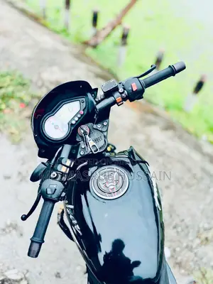 Bajaj Pulsar 150 2019 Black