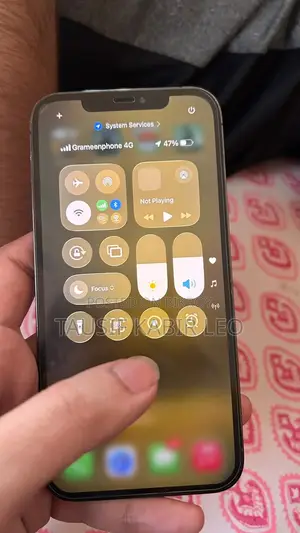 iPhone 12 Pro Max ( Display Only )