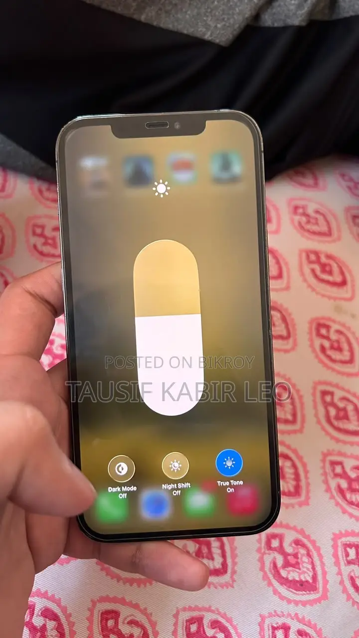 iPhone 12 Pro Max ( Display Only )