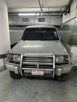 মিতসুবিশি পাজেরো ১৯৯৪ সিলভার