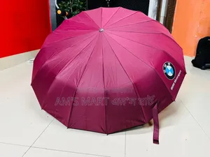 Bmw 16 Ribs Auto Umbrella!