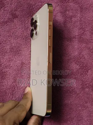 অ্যাপল আইফোন ১৩ প্রো ম্যাক্স ১২৮ জিবি গোল্ড