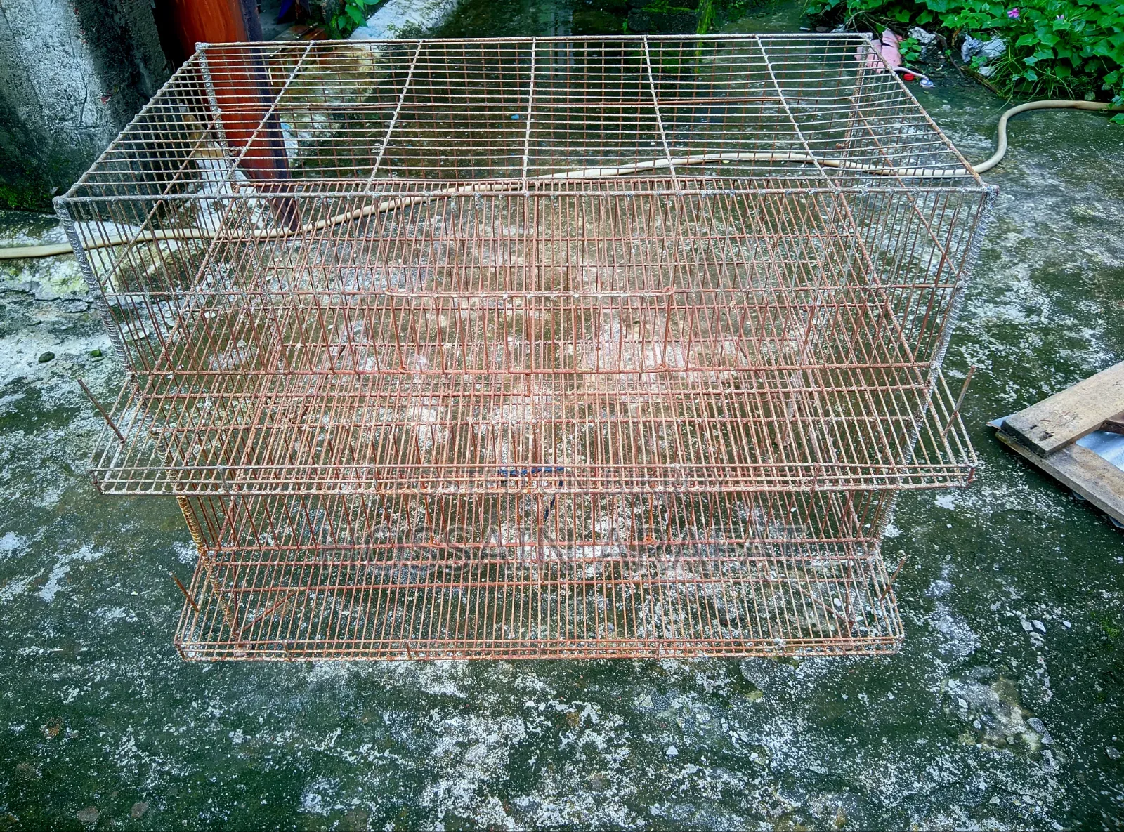 কয়েল খাঁচা