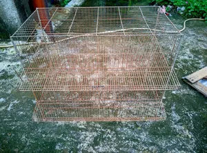 Quail Cage