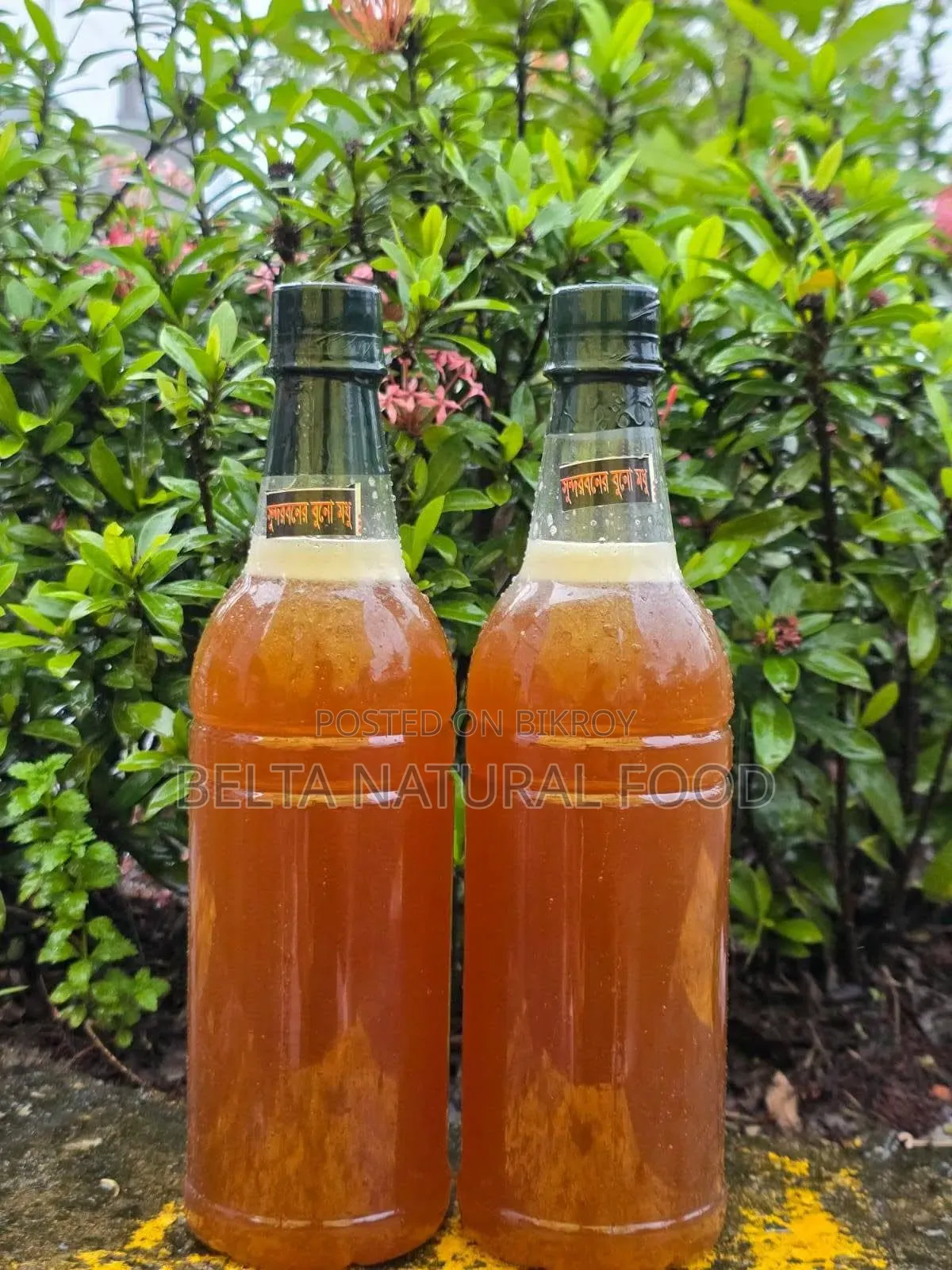 Sundarban Natural Honey from Honeycombs