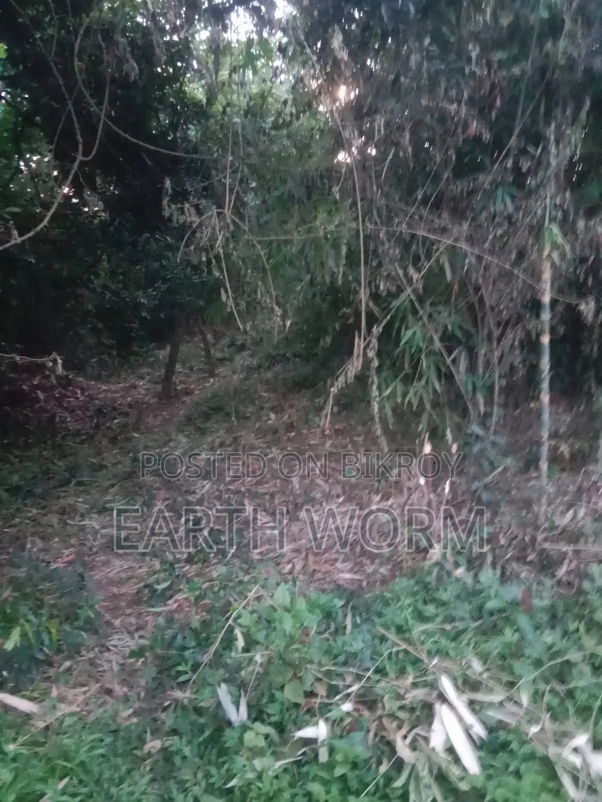 আর্জেন্ট জমি বিক্রি