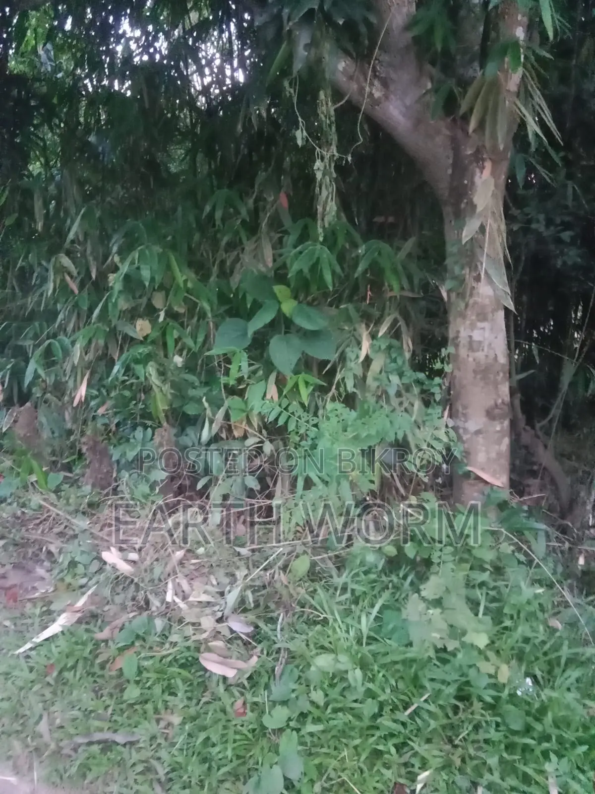 আর্জেন্ট জমি বিক্রি