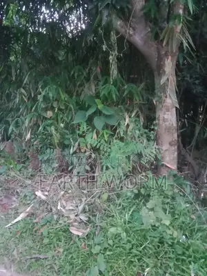 আর্জেন্ট জমি বিক্রি