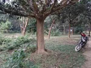 আর্জেন্ট জমি বিক্রি