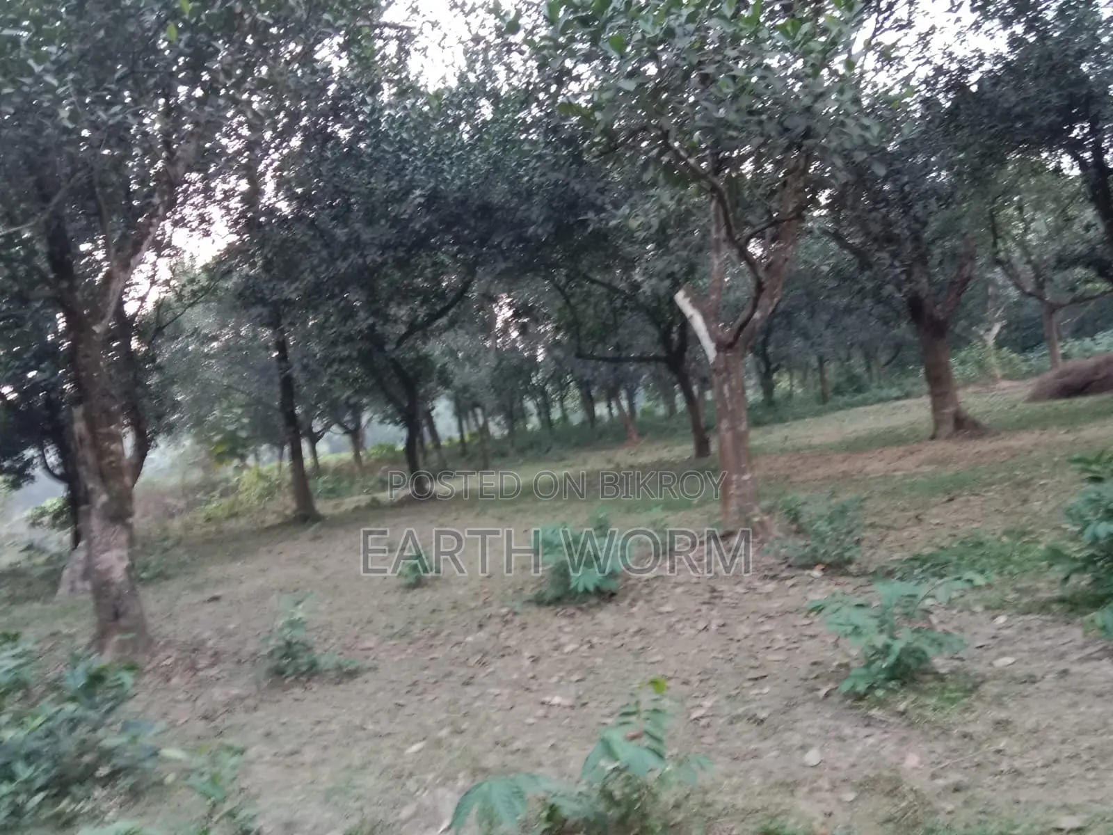 আর্জেন্ট জমি বিক্রি