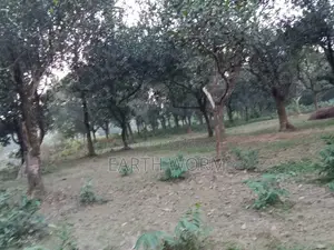 আর্জেন্ট জমি বিক্রি