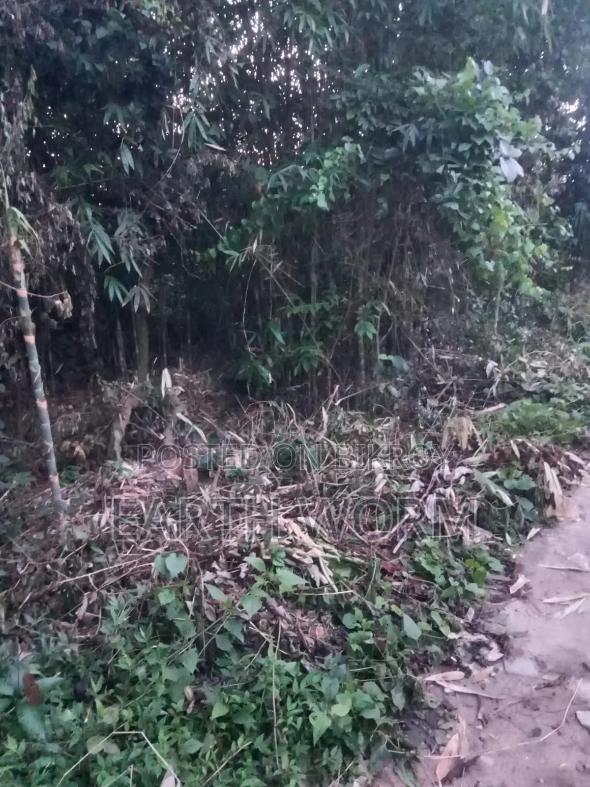 আর্জেন্ট জমি বিক্রি