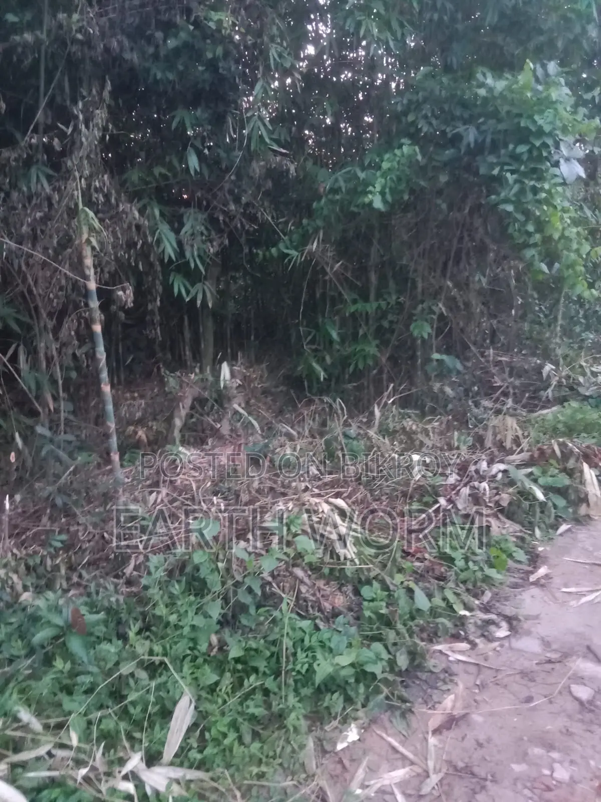 আর্জেন্ট জমি বিক্রি