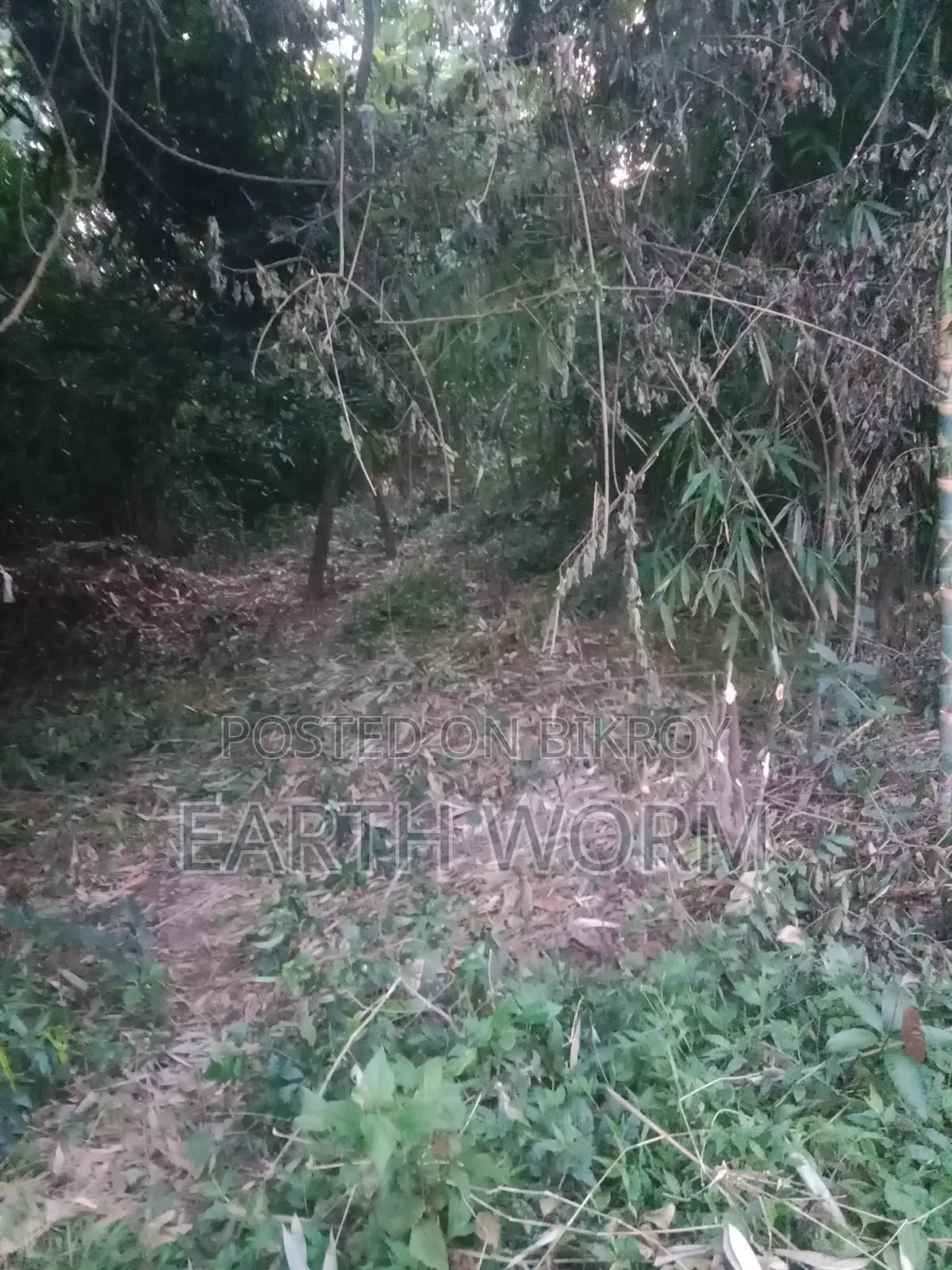 আর্জেন্ট জমি বিক্রি