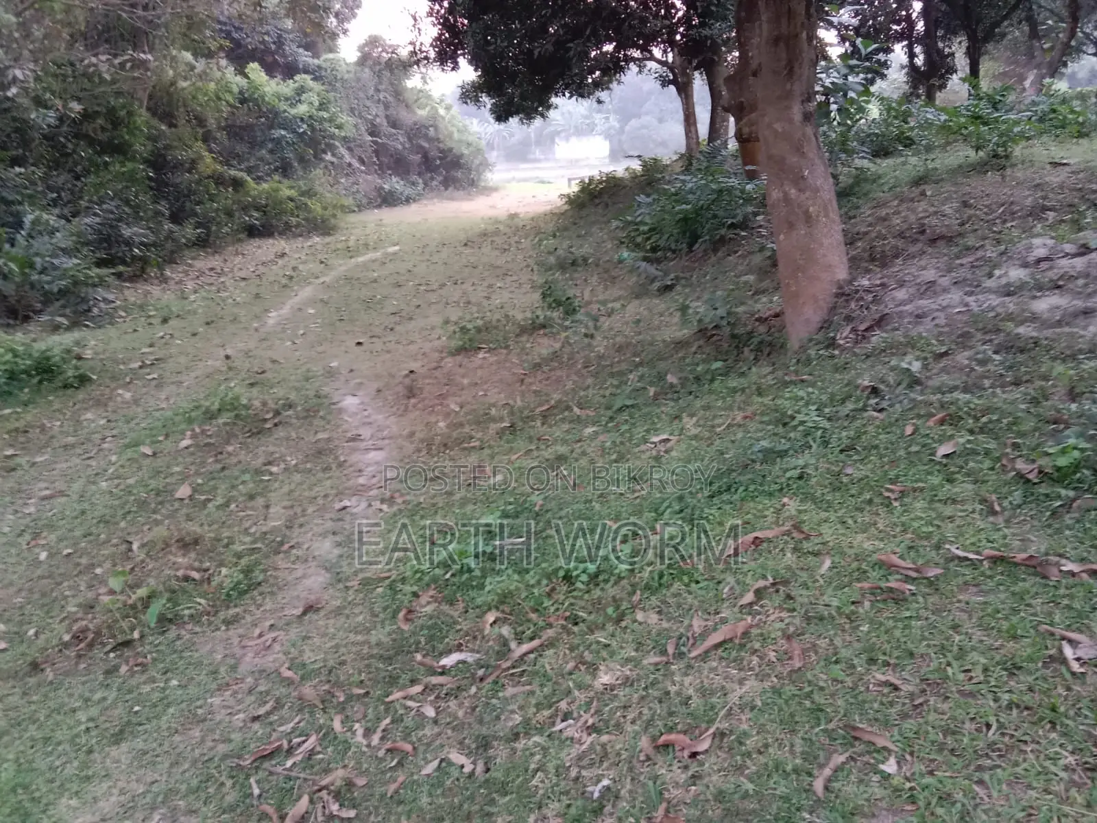 আর্জেন্ট জমি বিক্রি