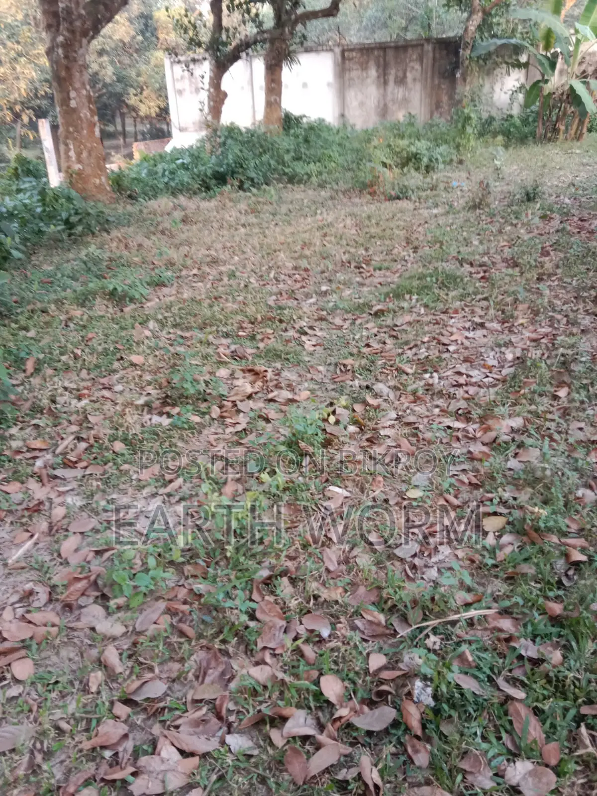 আর্জেন্ট জমি বিক্রি