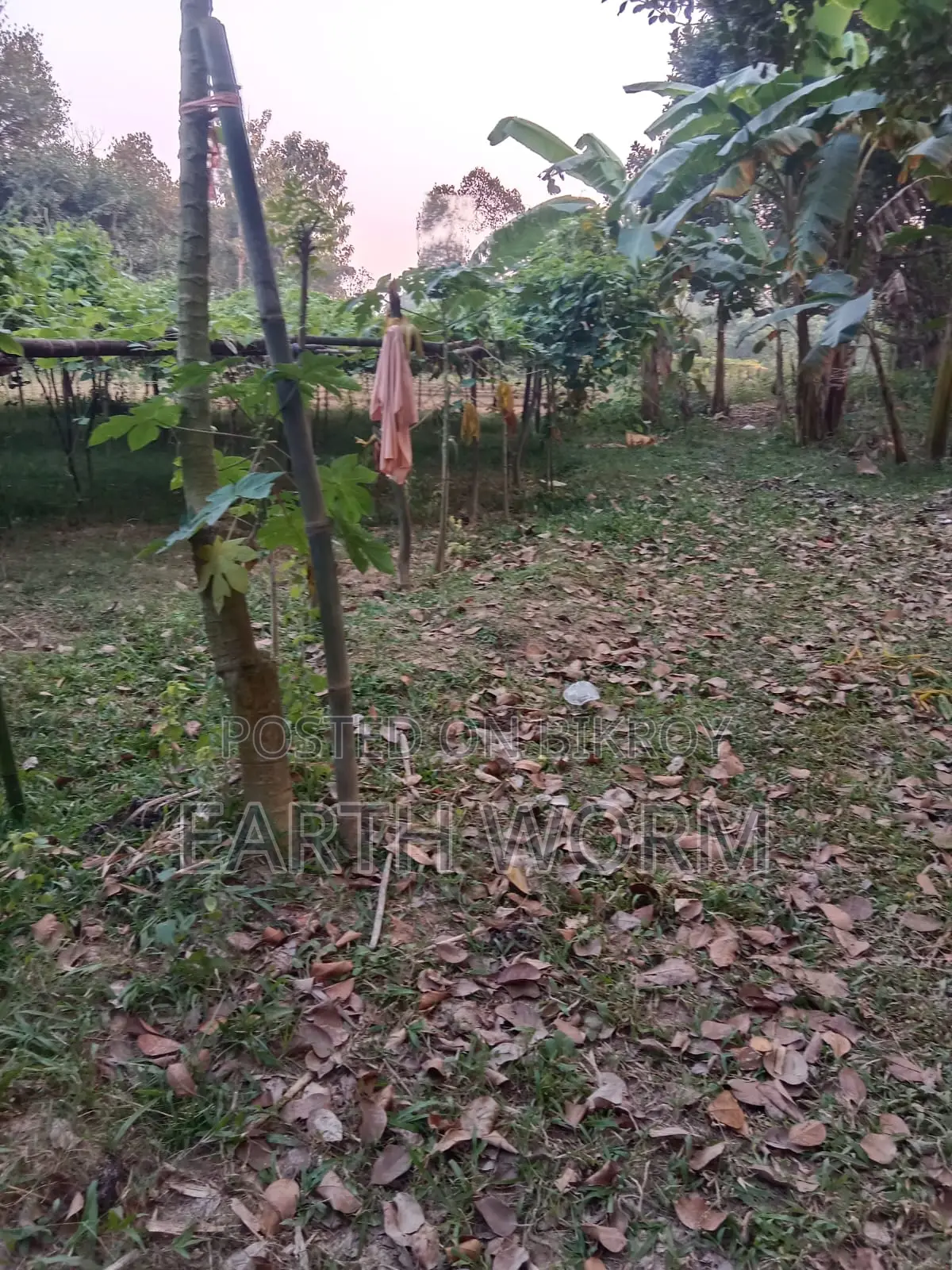 আর্জেন্ট জমি বিক্রি