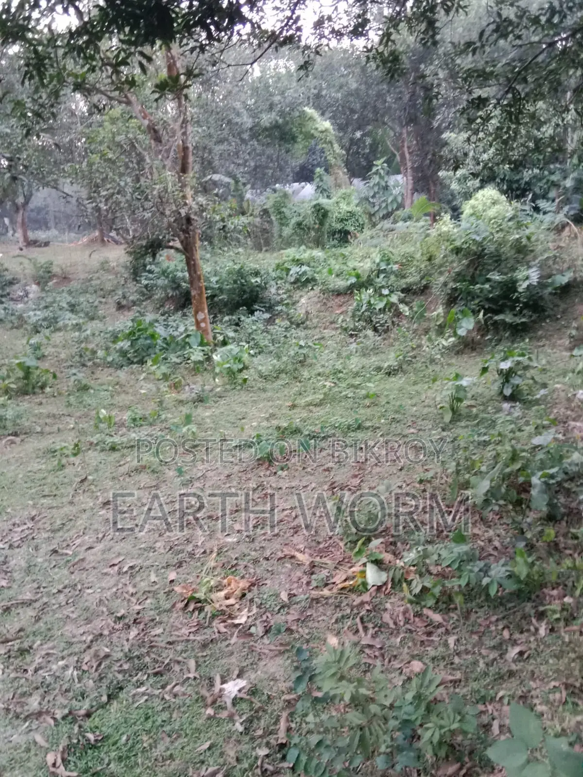 আর্জেন্ট জমি বিক্রি
