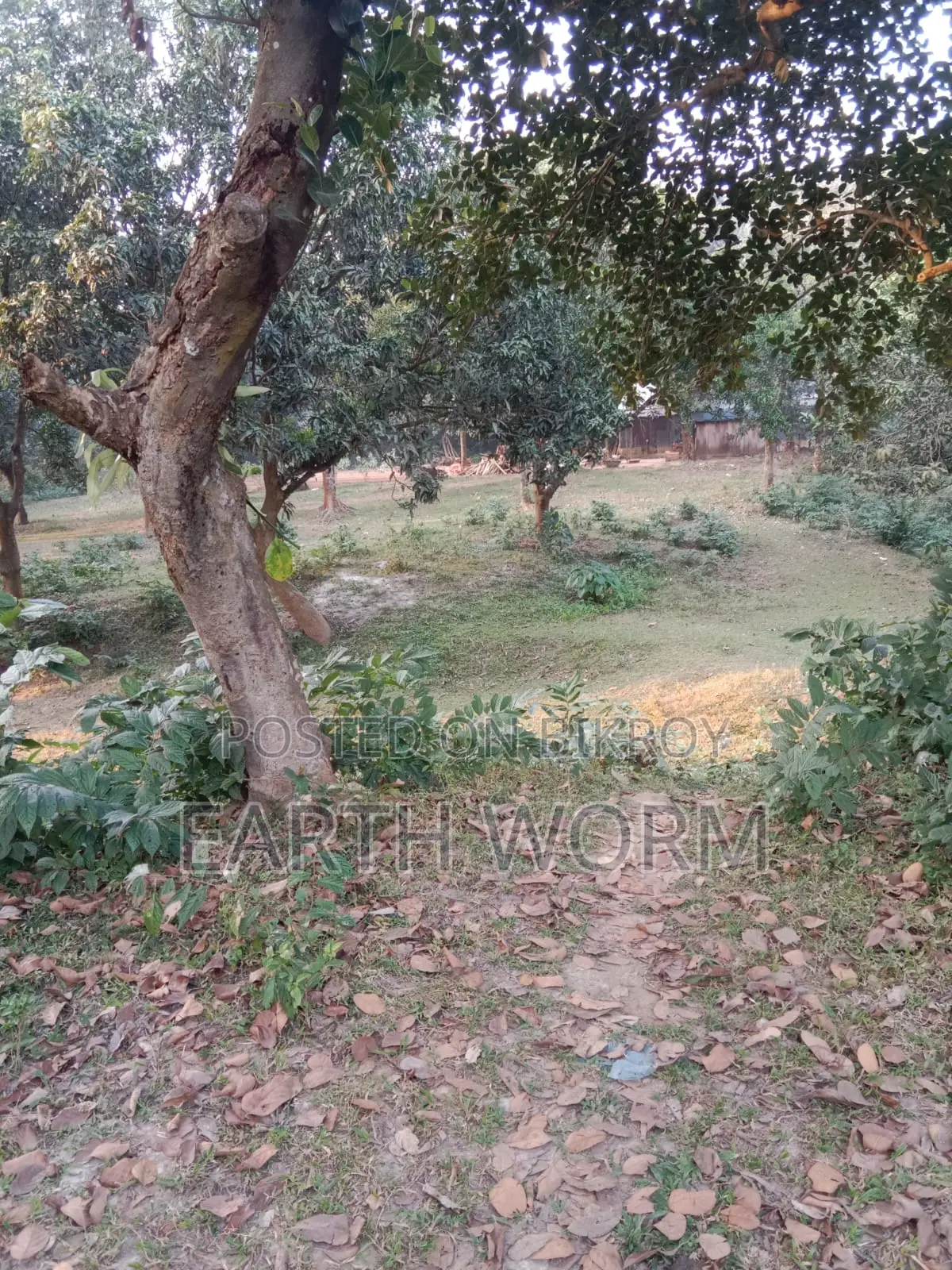 আর্জেন্ট জমি বিক্রি