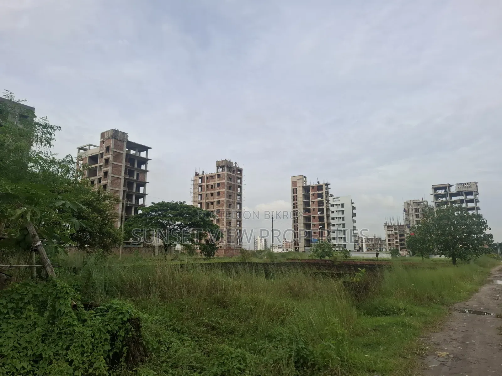South-Facing Plot at Block M