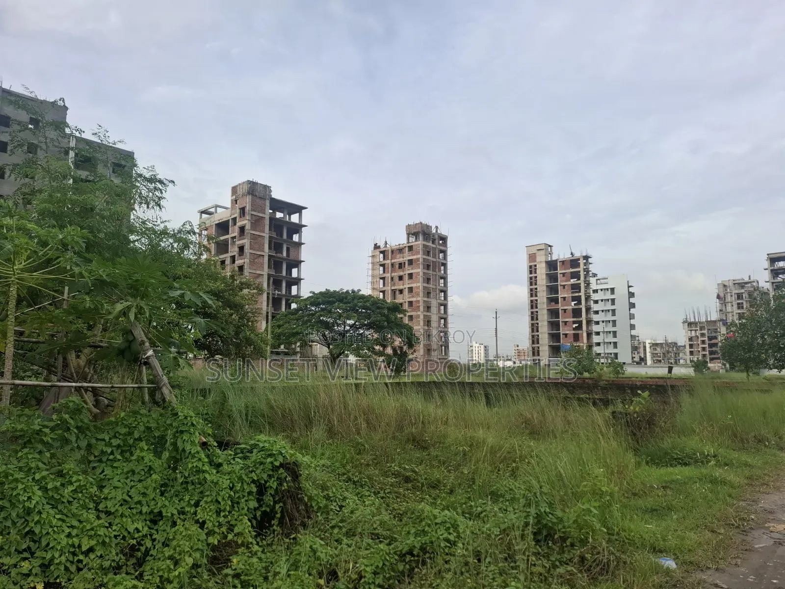 South-Facing Plot at Block M