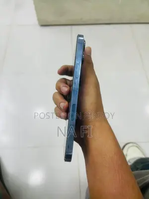 অ্যাপল আইফোন ১৩ প্রো ম্যাক্স ২৫৬ জিবি নীল