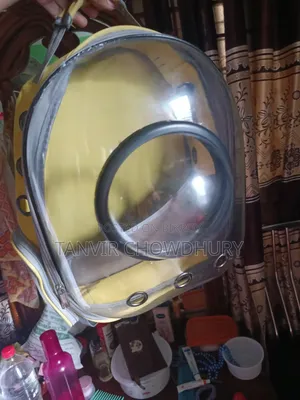 বিড়ালের ক্যারি ব্যাগ